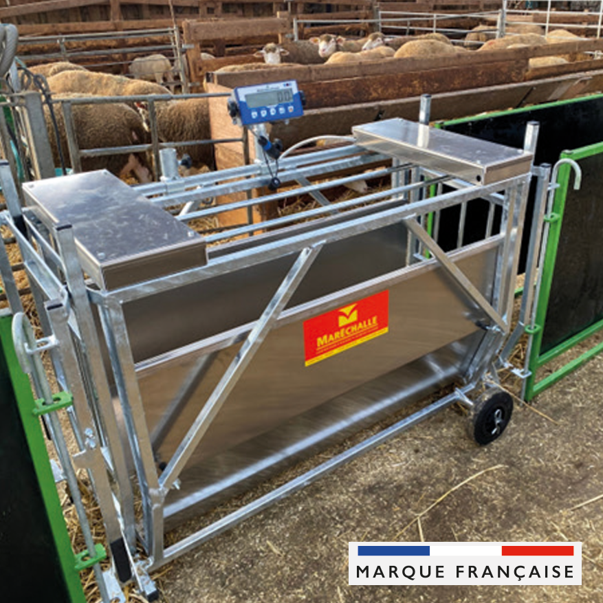 Cage de pesage pour agneaux de la marque Maréchalle