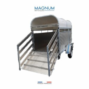 Moutonnière KERRY - Magnum