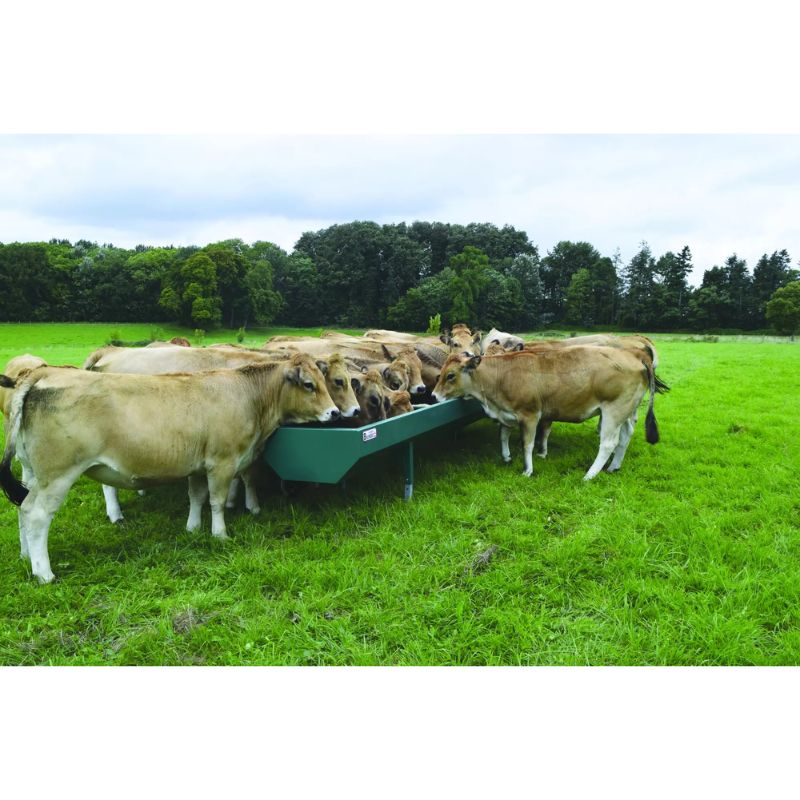 Auge Standard - Bruneau – Image 3