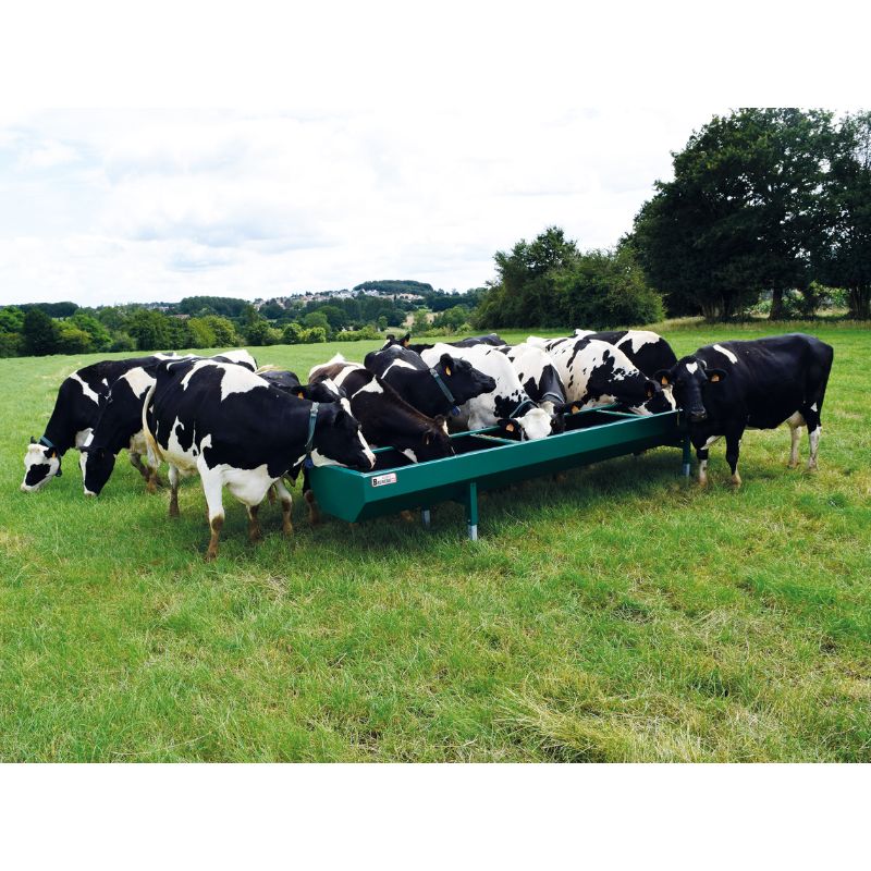 Auge Standard - Bruneau – Image 4