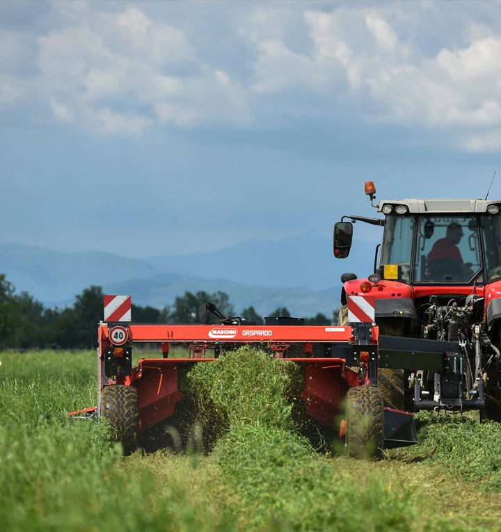 Faucheuse BORA T SFC conditionneuse traînée 3m60 MASCHIO GASPARDO – Image 6