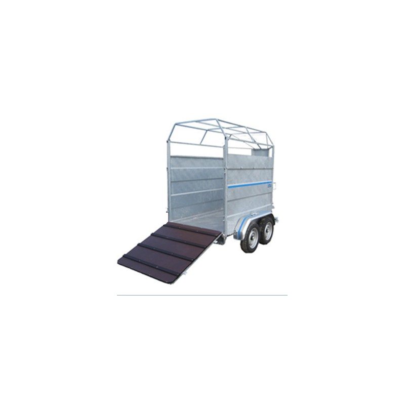 Vachère San Diego - Magnum – Image 5