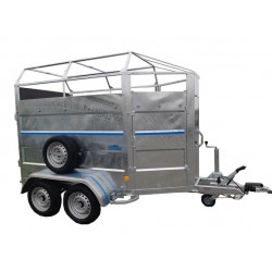 Vachère San Diego - Magnum