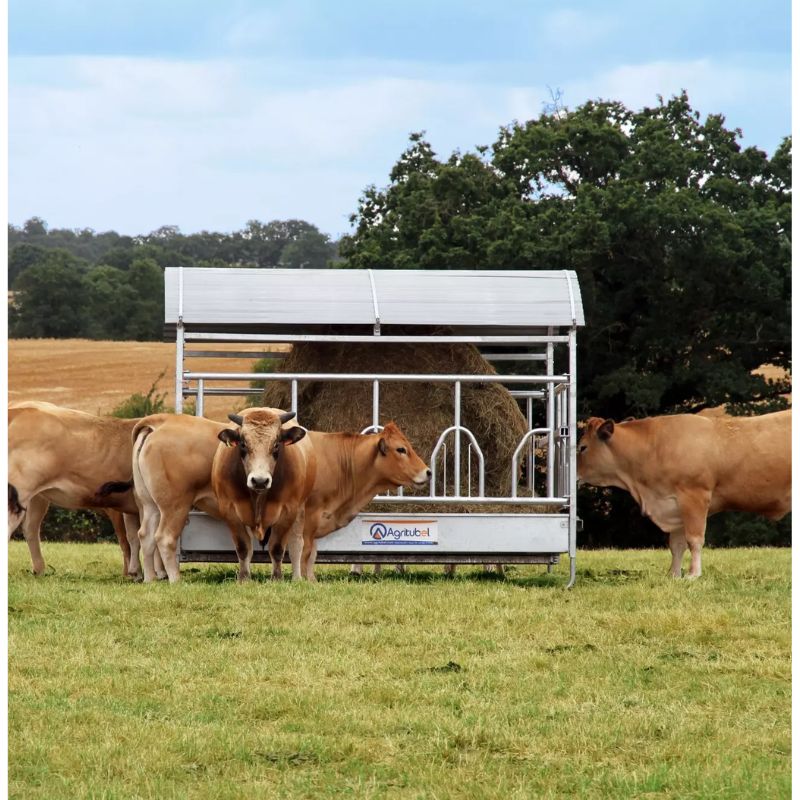 Râtelier Quadriballe  - Agritubel – Image 4