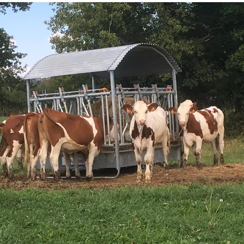 Râtelier Agriballe  - Agritubel – Image 4